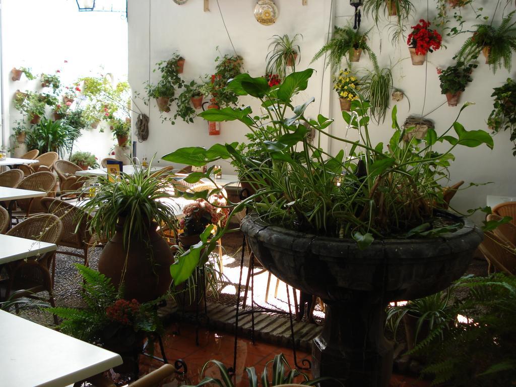 Los Patios Кордова Экстерьер фото